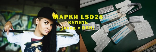 прущие грибы Богданович