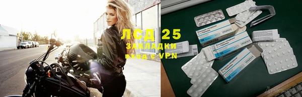 прущие грибы Богданович