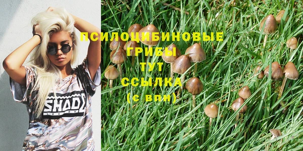 хмурый Белоозёрский
