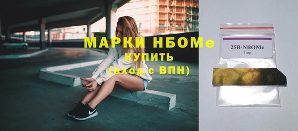 мдпв Богородск