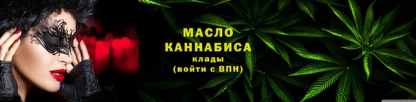 мдпв Богородск