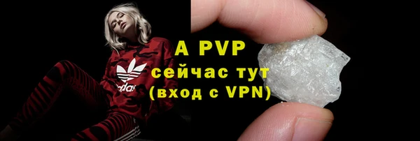 прущие грибы Богданович