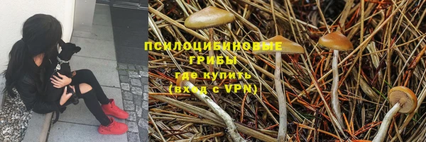 мдпв Богородск