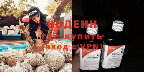 прущие грибы Богданович
