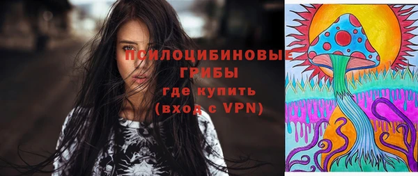 прущие грибы Богданович