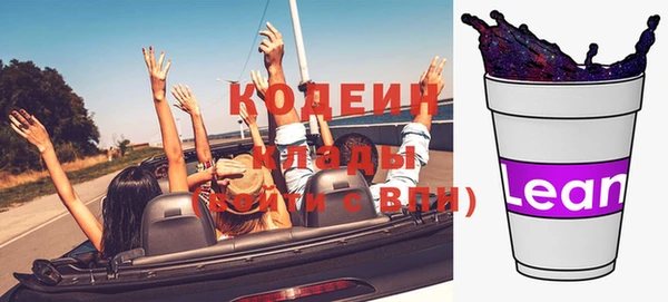 мдпв Богородск