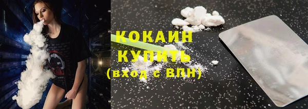 прущие грибы Богданович